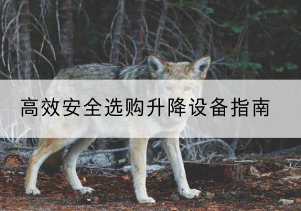 蕲春升降货梯厂家推荐-*安全选购升降设备指南
