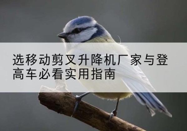 蕲春电动升降机厂家-选移动剪叉升降机厂家与登高车必看实用指南