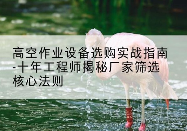蕲春剪叉式升降机厂家-高空作业设备选购实战指南-十年工程师揭秘厂家筛选核心法则